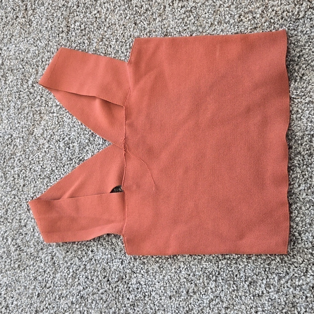 Seek the label burned orange crop top